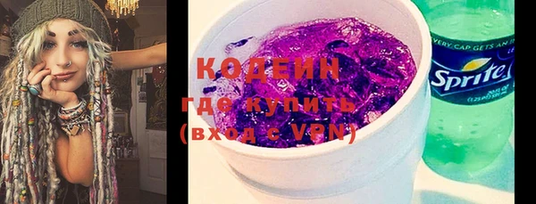 шишки Снежногорск