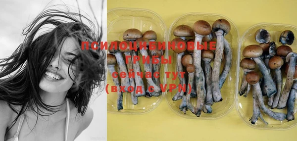 PSILOCYBIN Сосновоборск