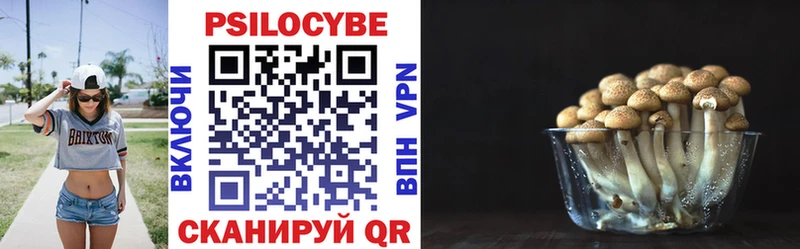 omg ONION  Барабинск  Псилоцибиновые грибы Psilocybe 